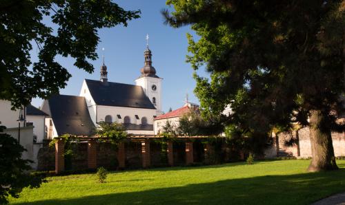 Barokní socha sv. Jana Nepomuckého - Vražné